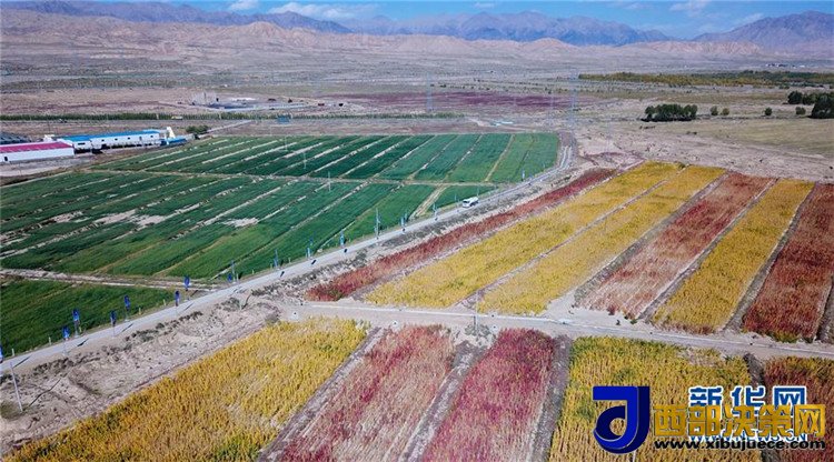 1507517753621938.jpg 2.jpg