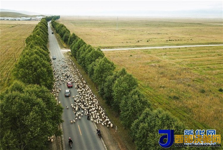 1507517777932498.jpg 5.jpg