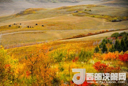 錫林郭勒草原國家級自然保護(hù)區(qū)。吳勇攝