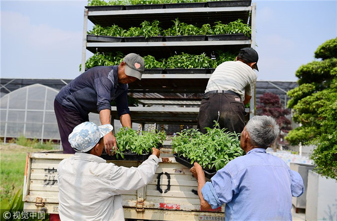 數(shù)字經(jīng)濟已經(jīng)成為我國經(jīng)濟社會更好發(fā)展的重要推動力，也為我國鄉(xiāng)村發(fā)展提供了新的歷史機遇。（圖片來源：視覺中國）