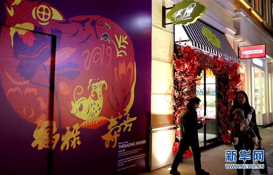 (社會)(1)小豬快來