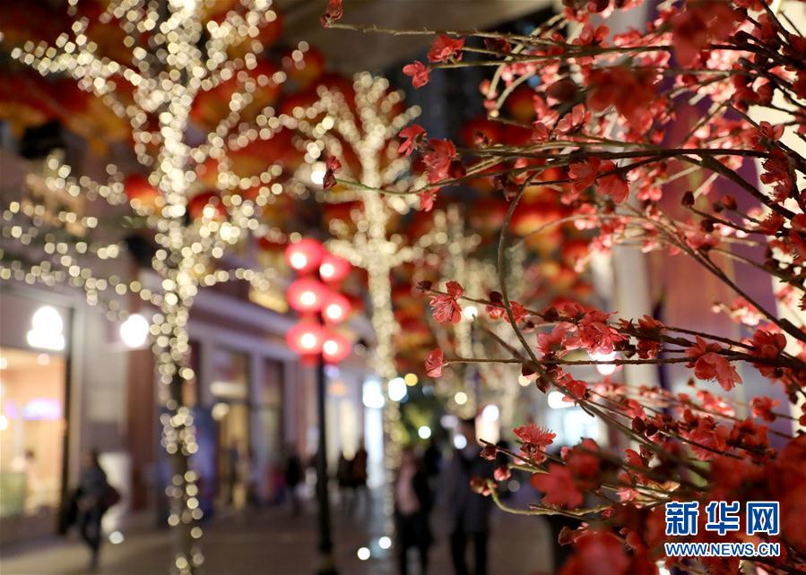 (社會)(5)小豬快來