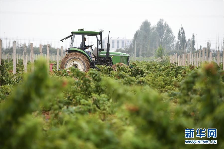 （壯麗70年·奮斗新時(shí)代——共和國(guó)發(fā)展成就巡禮·圖文互動(dòng)）（10）生態(tài)美、百姓富——品讀嶄新“寧夏畫卷”