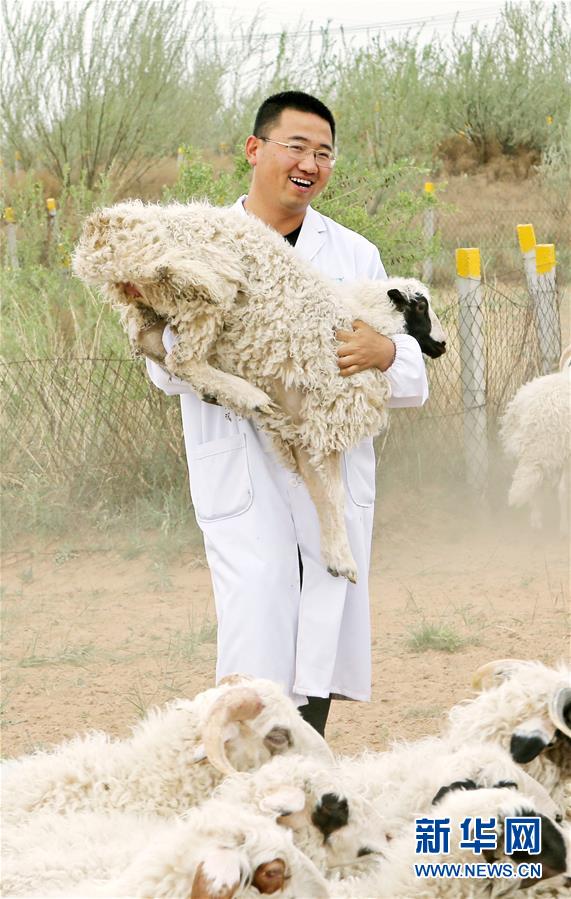 （壯麗70年·奮斗新時(shí)代——共和國(guó)發(fā)展成就巡禮·圖文互動(dòng)）（3）生態(tài)美、百姓富——品讀嶄新“寧夏畫卷”