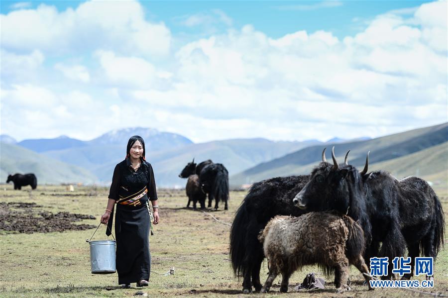 (新華全媒頭條·決戰(zhàn)決勝脫貧攻堅·圖文互動)(3)在青山綠水間跨越千年——青海探索生態(tài)脫貧之路報告