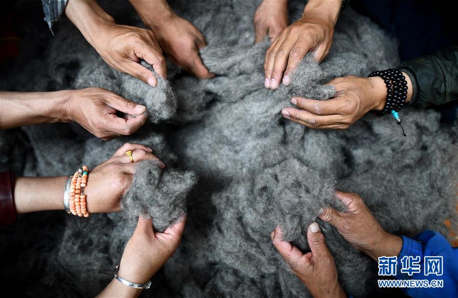 (新華全媒頭條·決戰(zhàn)決勝脫貧攻堅·圖文互動)(8)在青山綠水間跨越千年——青海探索生態(tài)脫貧之路報告