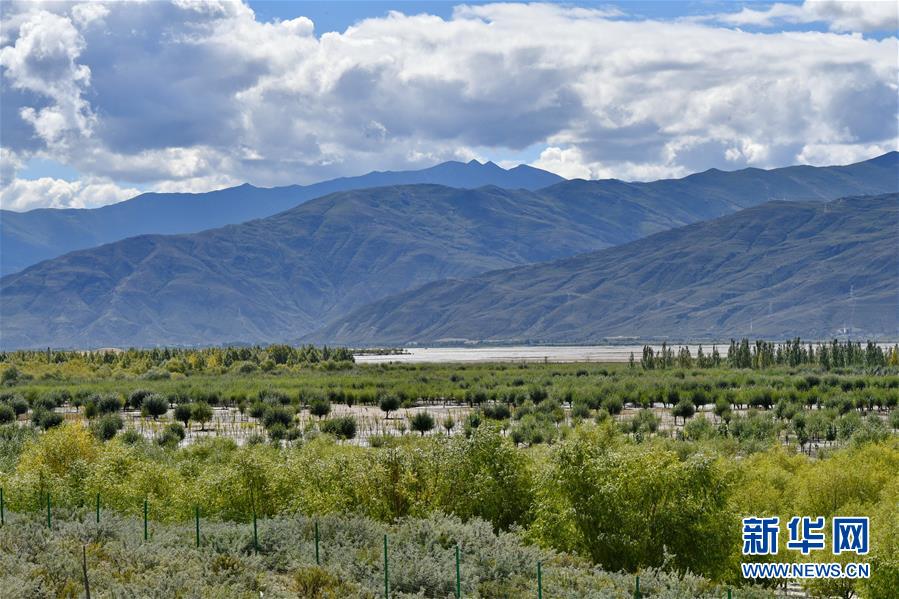 （圖文互動）（4）“今天的生活，就像夢里夢到那樣甜”——寫在西藏百萬農(nóng)奴解放61周年之際