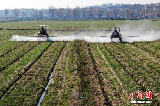 2月20日，南京湖熟街道現(xiàn)代農(nóng)業(yè)示范園區(qū)內(nèi)，工作人員駕駛自走式噴霧機給小麥噴灑除草劑。泱波 攝