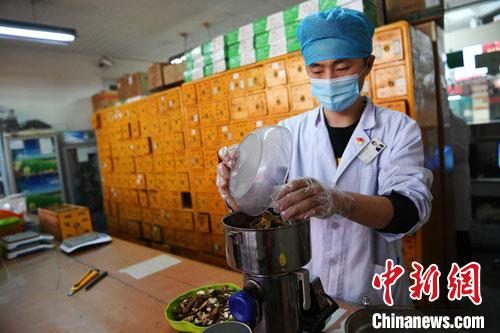 疫情發(fā)生以來，甘肅確保所有病例盡早、及時(shí)、全程使用中醫(yī)中藥，努力做到“一患一方案”。(資料圖) 楊艷敏 攝