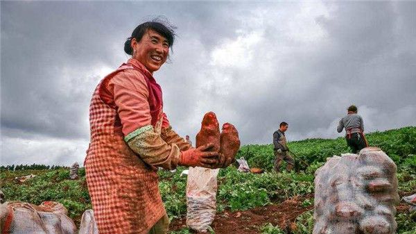 點(diǎn)擊進(jìn)入下一頁(yè)