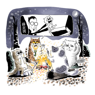 ▲物理學家薛定諤曾用一只貓比喻量子疊加。圖片來源：視覺中國