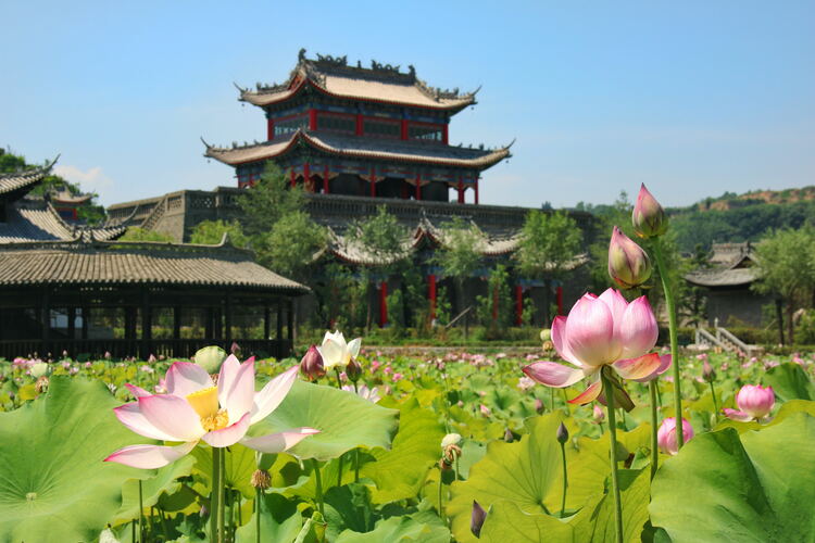 【云游渭南】心中若有桃花源，此處便是水云間！待疫情散盡，一起來渭南桃花源賞美景、觀民俗、享美食_fororder_2