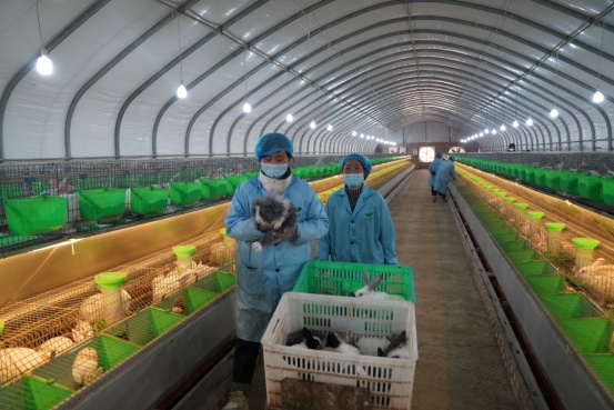 1676424142806379.png?x-oss-process=style/w10 image.png?x-oss-process=style/w10